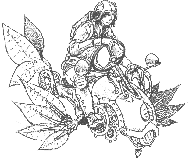 Palets Croquants Caramel Artisan Chocolatier