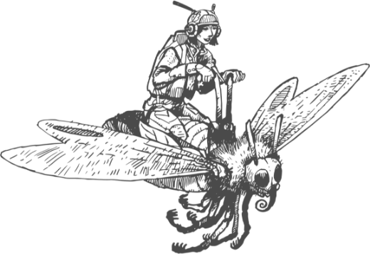 Voyage Saveurs Sucré Salé Aperolats